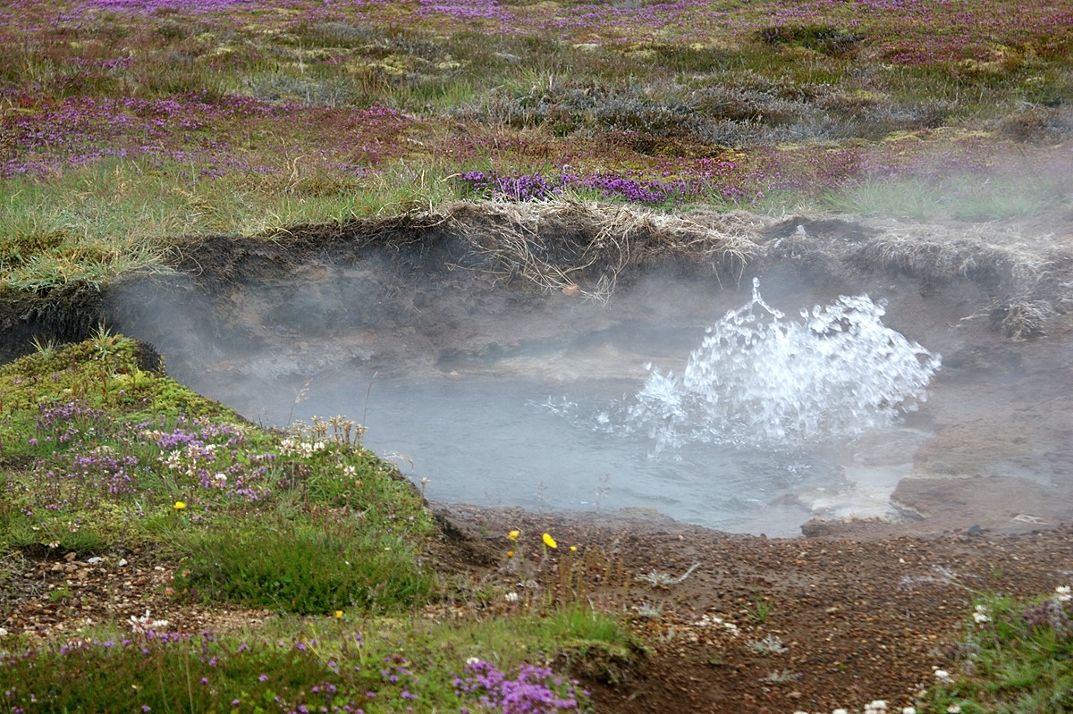 Geothermalgebiet Haukadalur