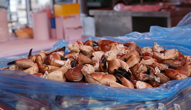 Auslagen auf dem Fischmarkt Bergen