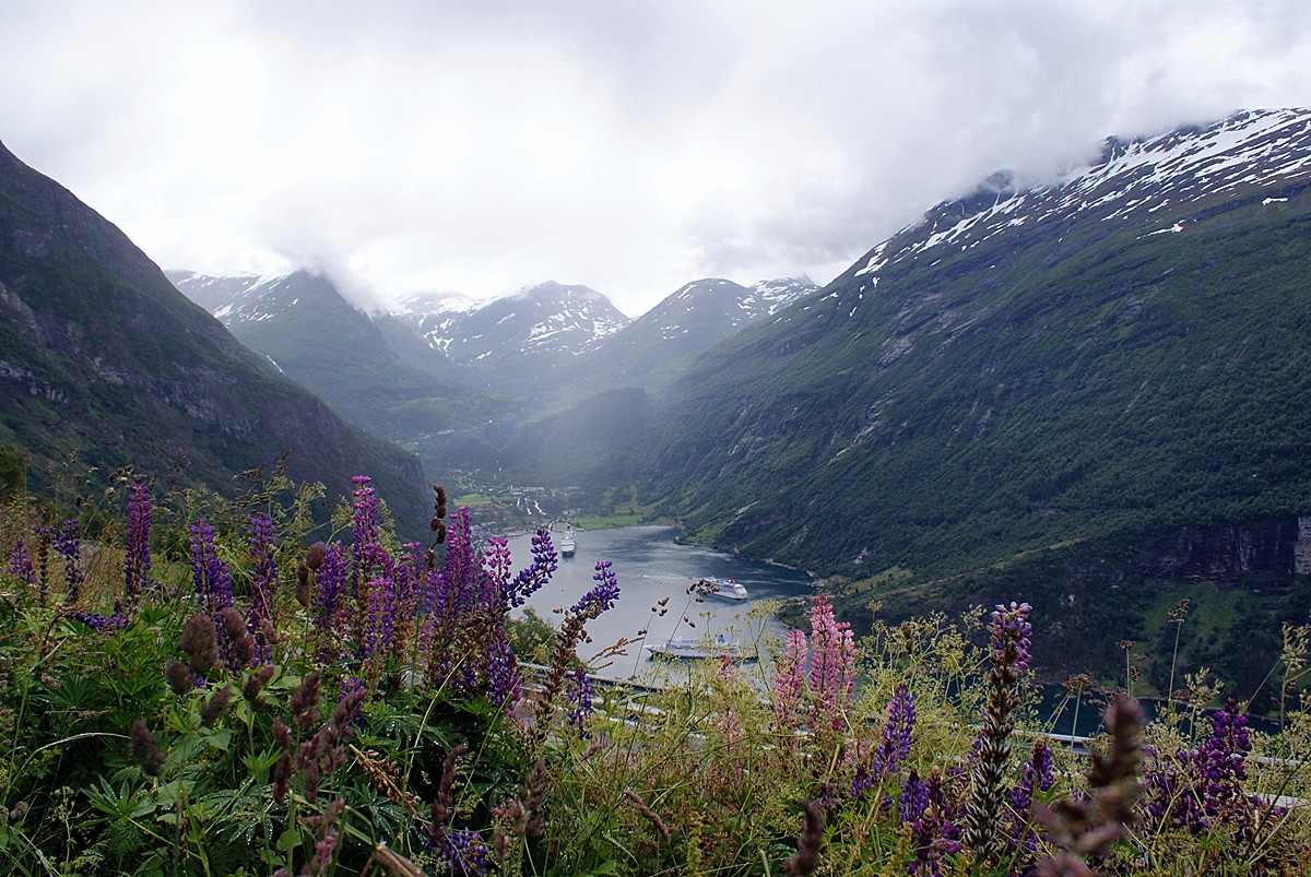 Ausblick in den Geiranger von der Adlerkehre aus