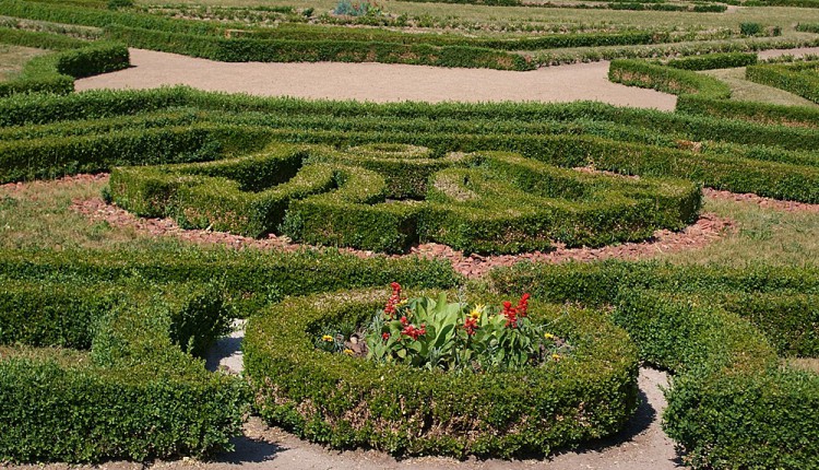 Beet im Barockgarten Hundisburg