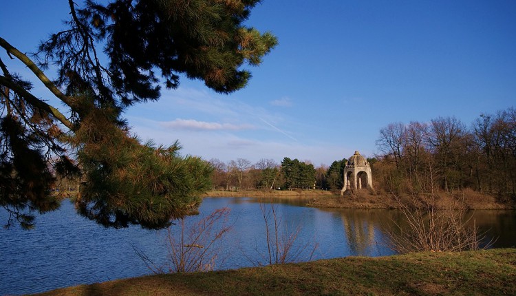 Blick über den Adolf-Mittag-See zur Marieninsel