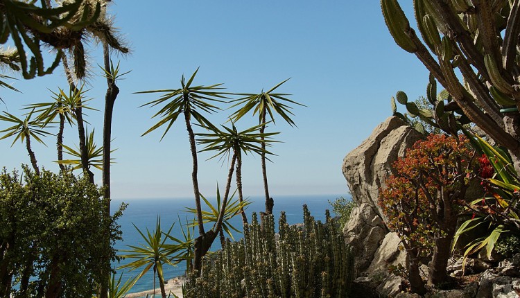 Jardin Exotique Monaco