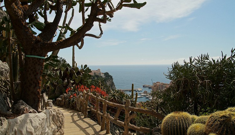 Jardin Exotique Monaco