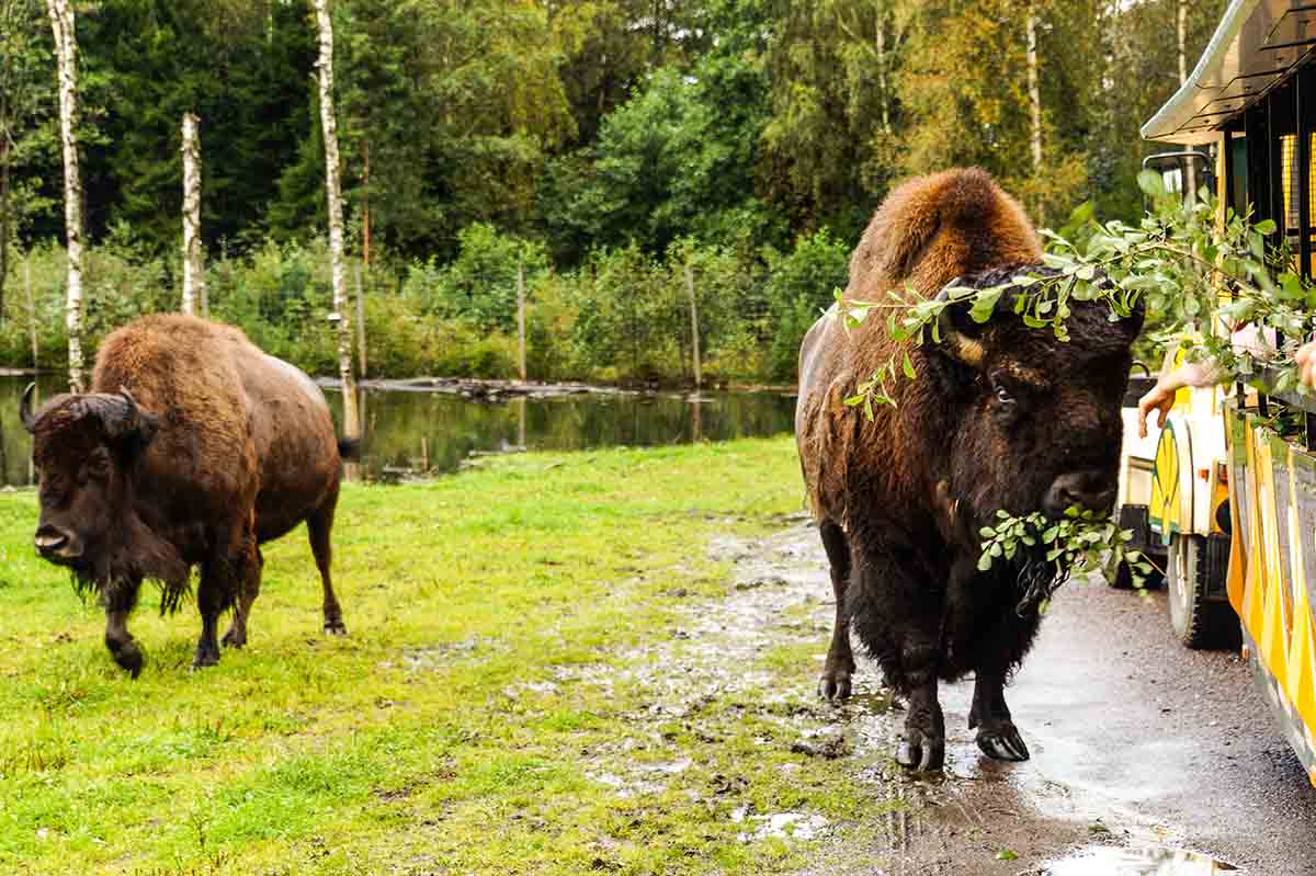 Schweden Urlaub Markaryd