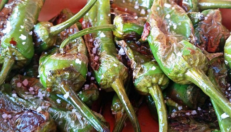 Pimientos de Padrón spanische Bratpaprika