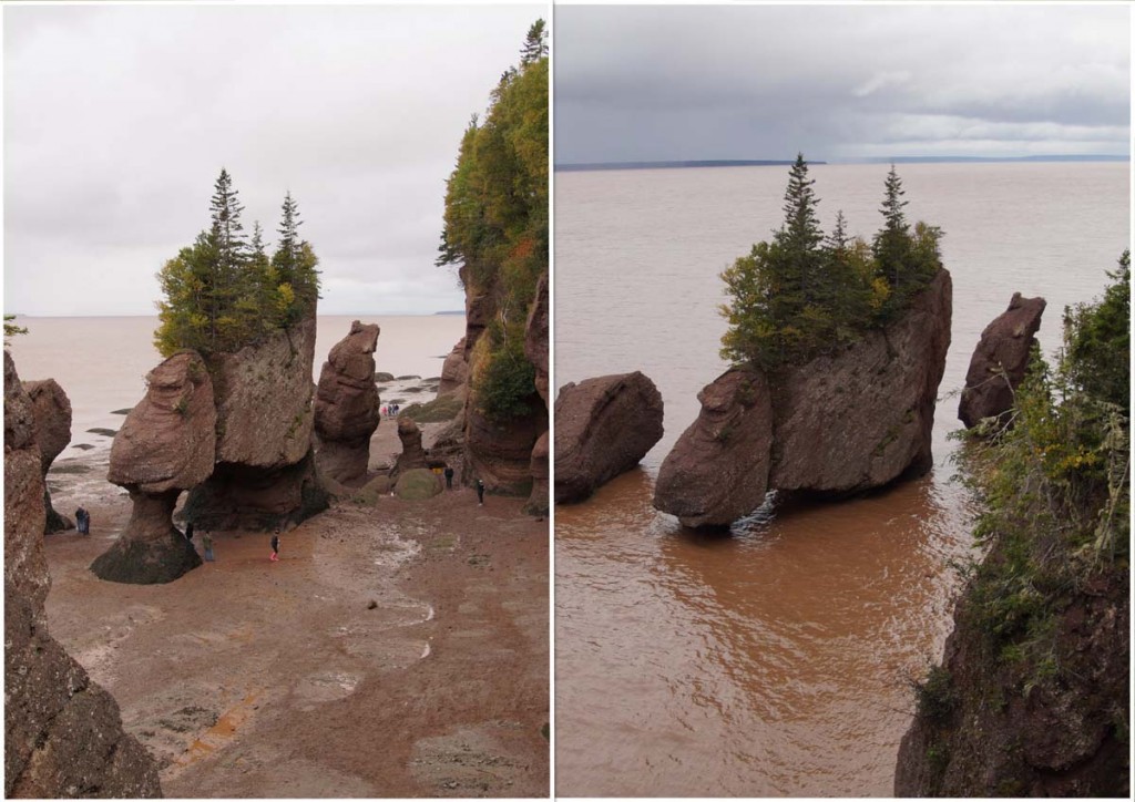 Bay of Fundy Alma Tidenhub Hopewell Rocks Kanada