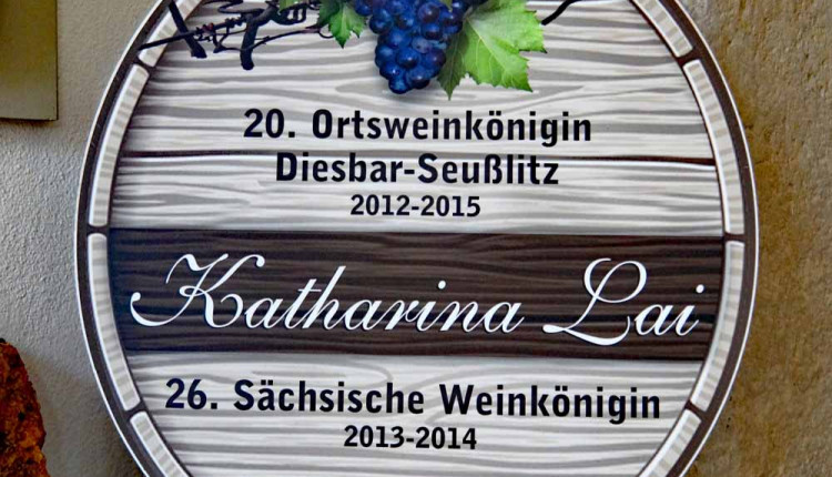 Elberadweg Sächsische Weinstrasse Landidylle Goldriesling