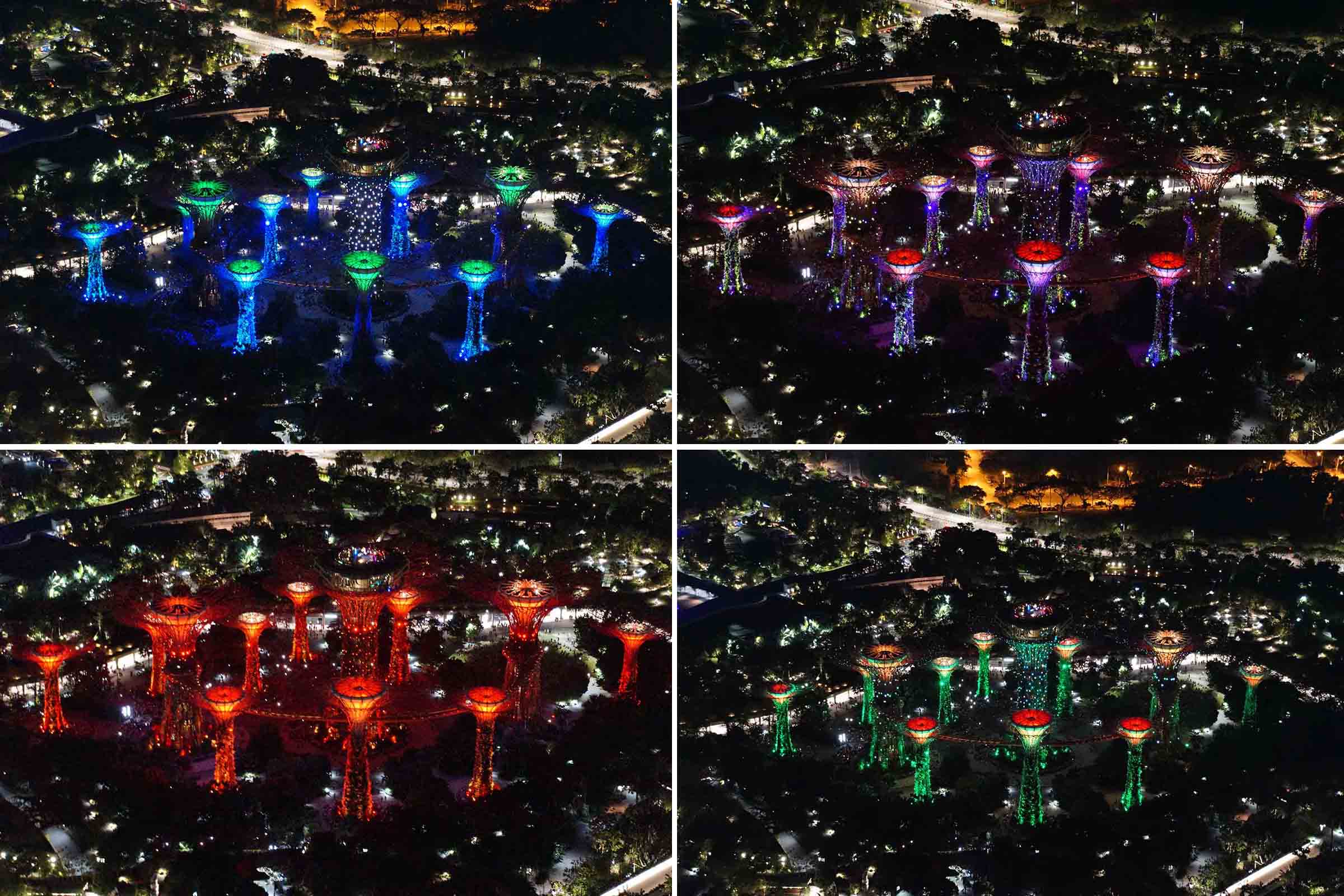 Singapur Lichtshow SuperTrees