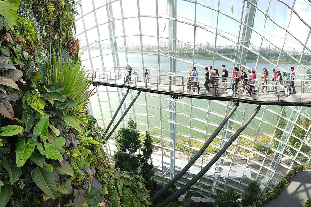 Gardens by the Bay Cloud Forest