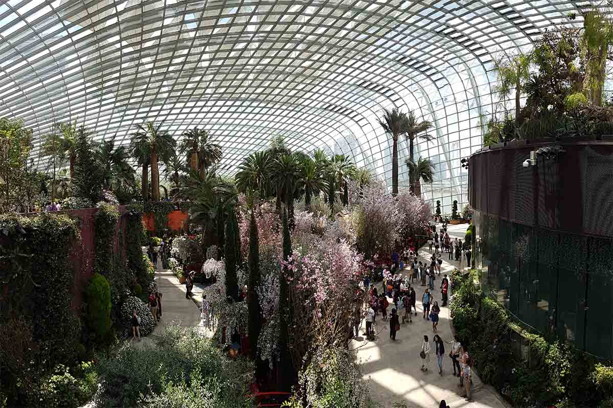 Gardens by the Bay Flower Dome