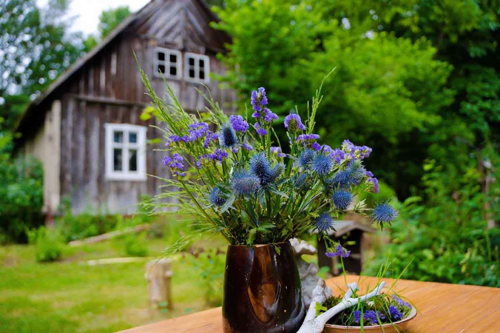 Urlaub im Spreewald Spreewaldidylle