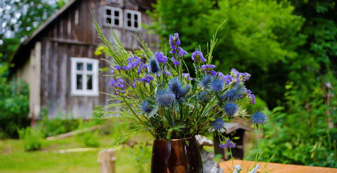 Urlaub im Spreewald Spreewaldidylle