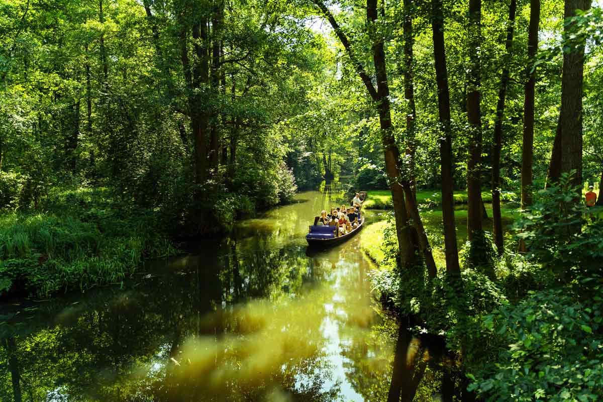 Spreewald Kahnfahrt klassisch