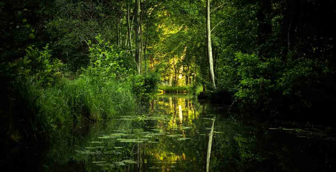Spreewald Kahnfahrt