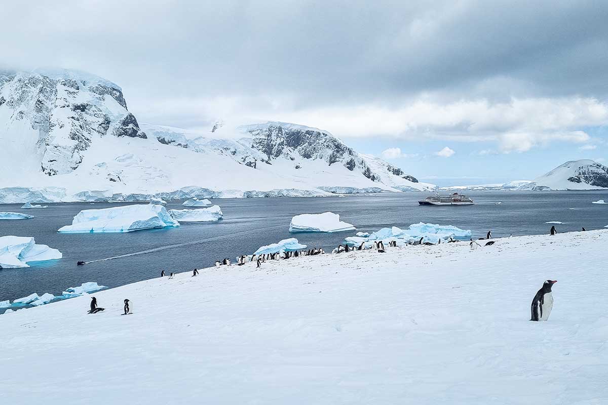 Faszination Antarktis Danco Island