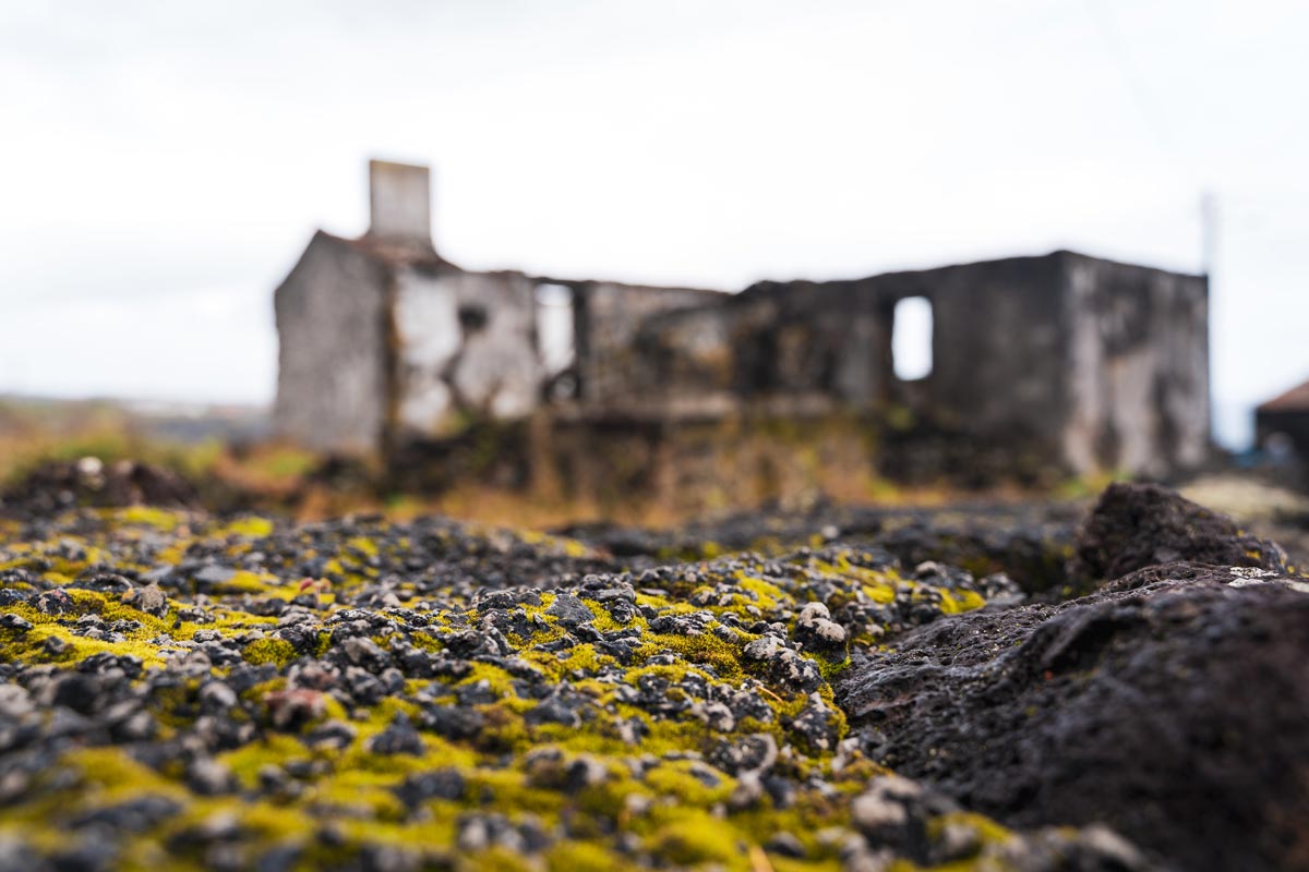 Azoren_Kreuzfahrt_Ruine_Pico