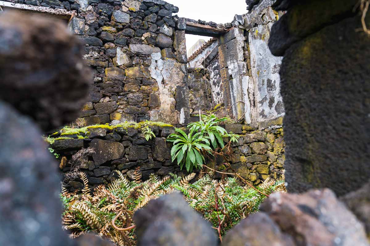Azoren_Kreuzfahrt_Ruine_Pico