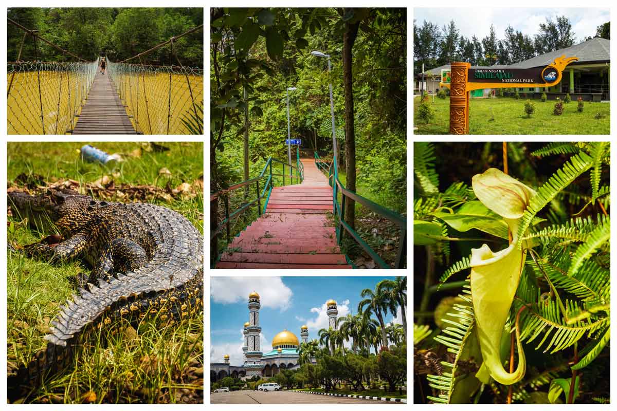 Insel Borneo Highlights