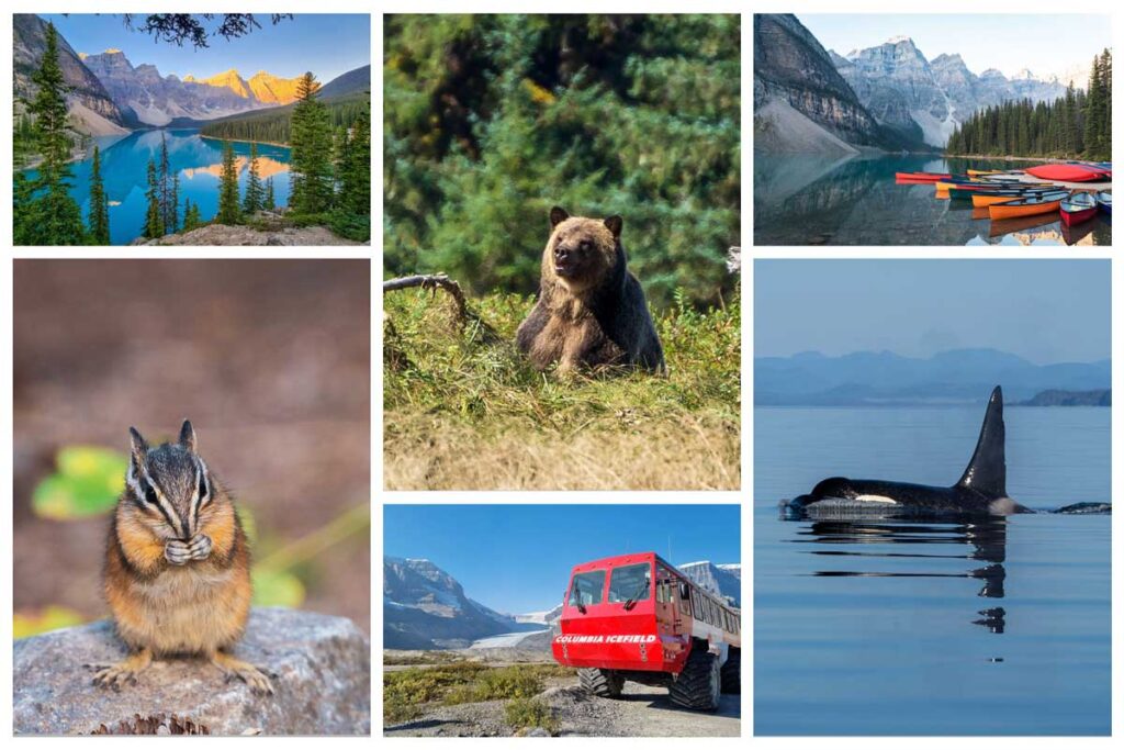 Rundreise Westkanada Collage