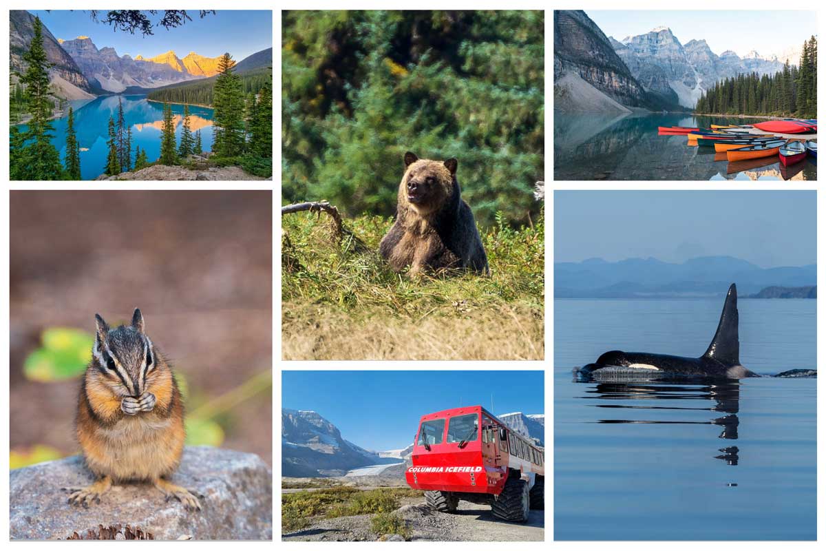 Rundreise Westkanada Collage